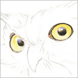 foster2