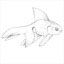 fisch