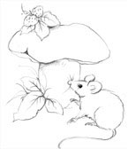 maus_1