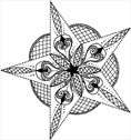 stern_1
