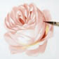 rose_4
