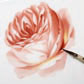 rose_5