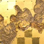 cenciarelli